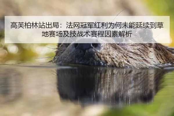 高芙柏林站出局：法网冠军红利为何未能延续到草地赛场及技战术赛程因素解析