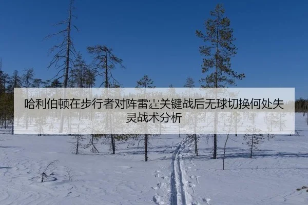 哈利伯顿在步行者对阵雷霆关键战后无球切换何处失灵战术分析
